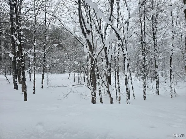 Swancott Mills Rd Lot 2, Taberg, NY 13471
