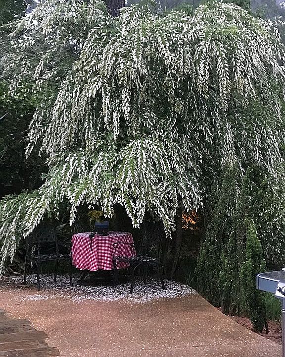 2nd image of 305 Lakeside Dr