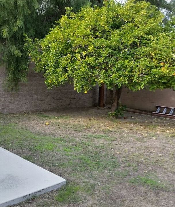 2nd image of 2533 Termino Ave