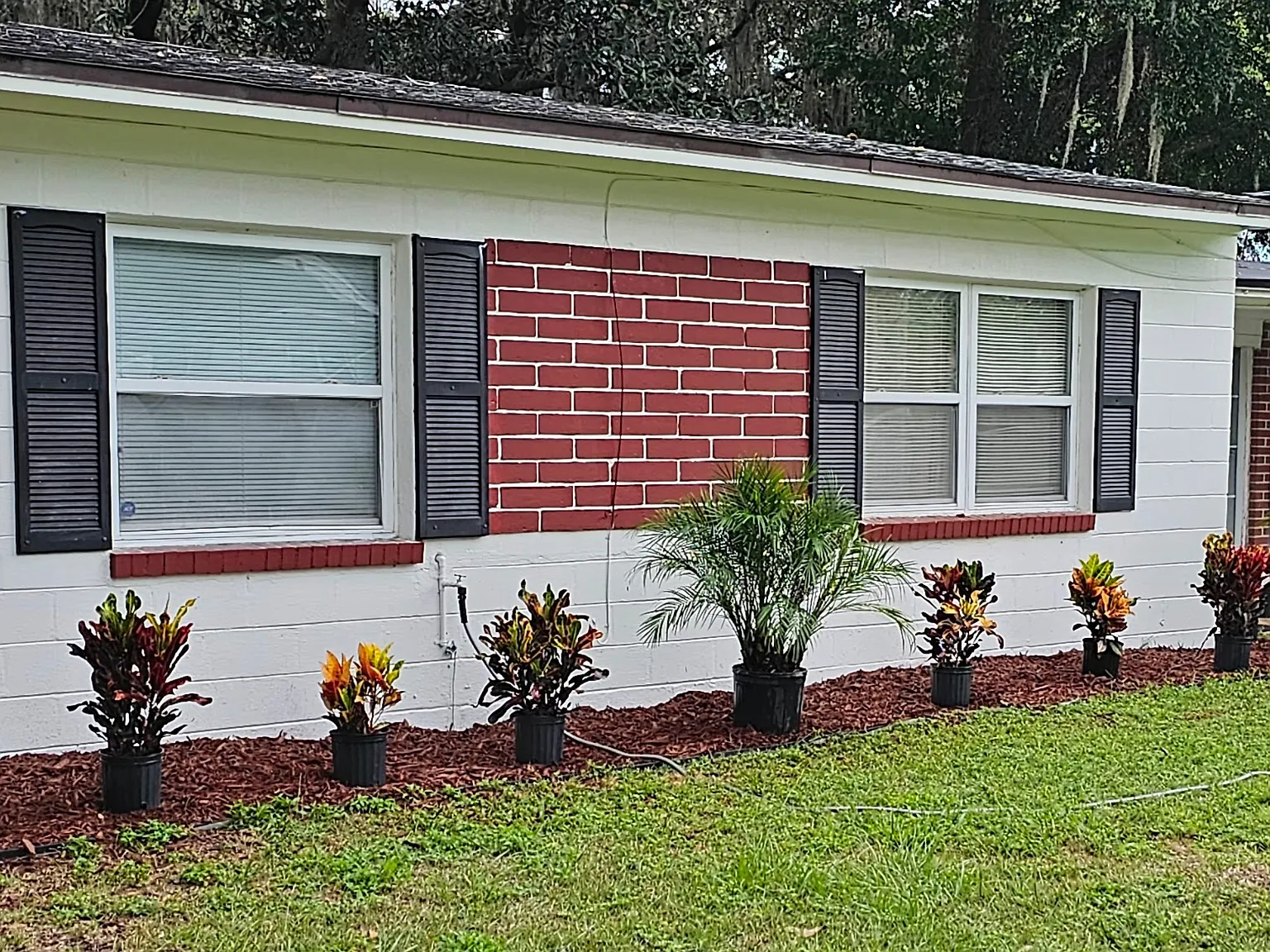 2923 Rainbow Rd — Photo 2