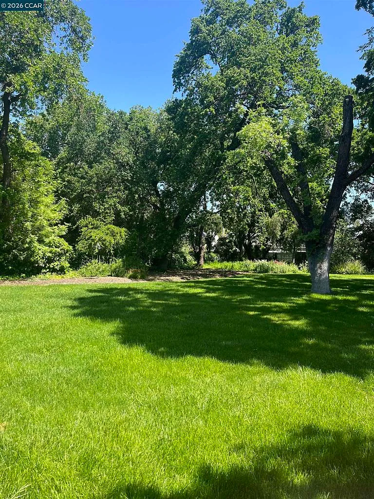 4 bed, 2.0 bath, 2200 sqft, $6,300 — Photo 3