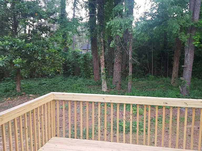 Back yard