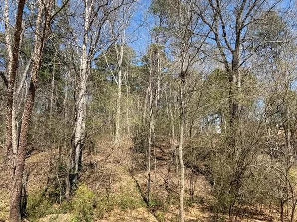 0 Jack Pittman Rd #2, Dacula, GA 30019