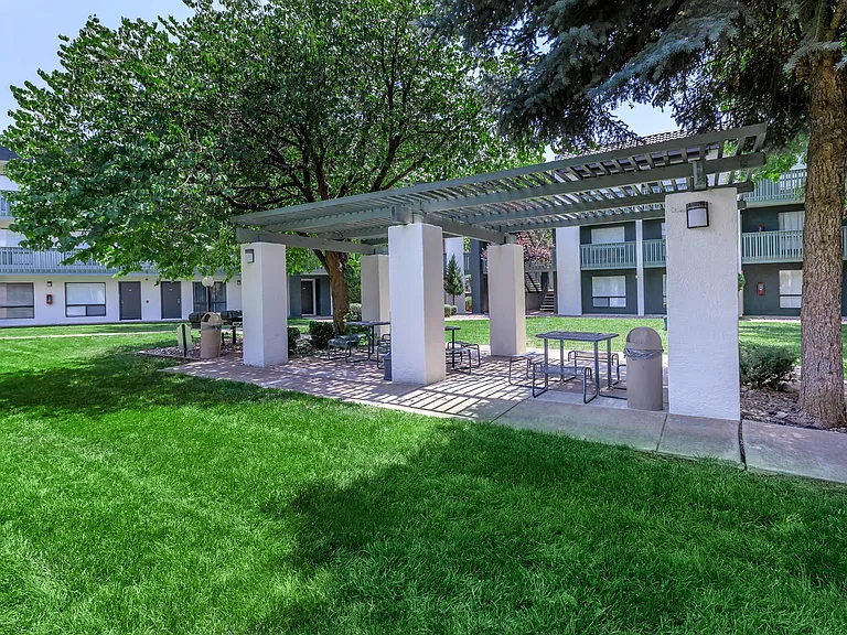BBQ Picnic Area with Bistro Lighting