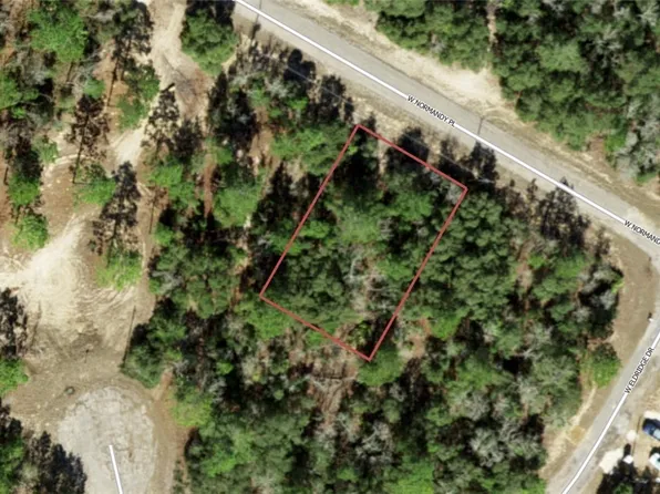 7619 W Normandy Pl, Citrus Springs, FL 34433