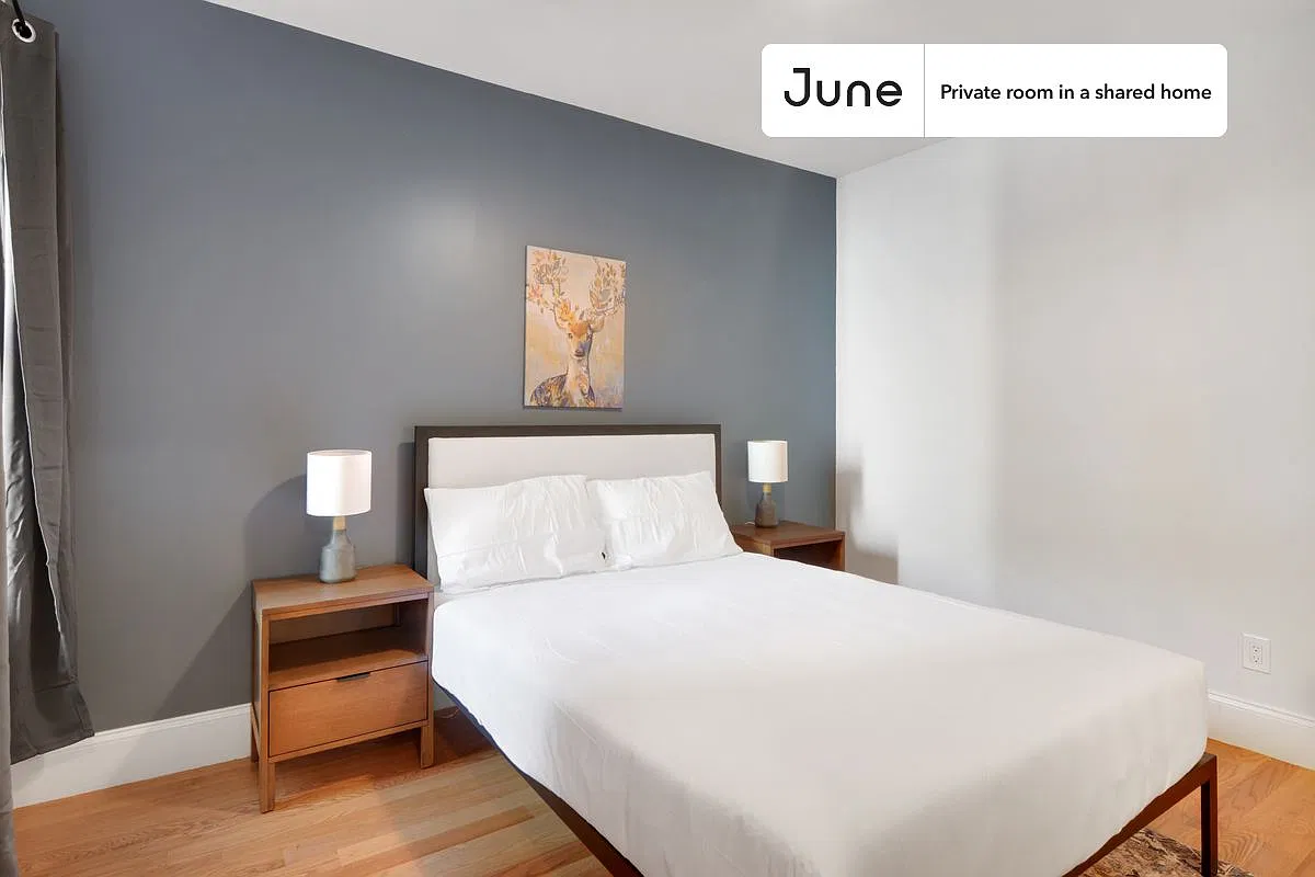 Queen bedroom in 5 bed/2 bath home in Allston #680 D — Photo 2