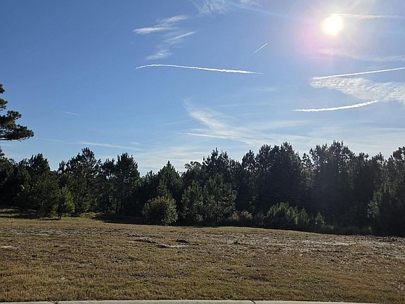4th image of 958 Montclair Pl SW Lot 113