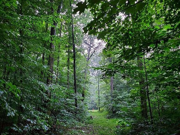 3rd image of 1922-1924 Hickory Ln