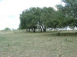 1st image of 30 County Road 260