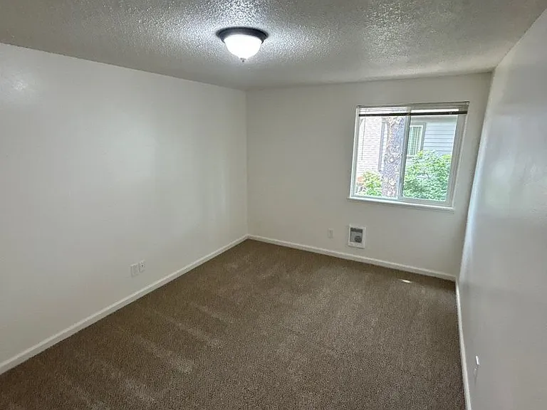 The Firs Apartments — Photo 11