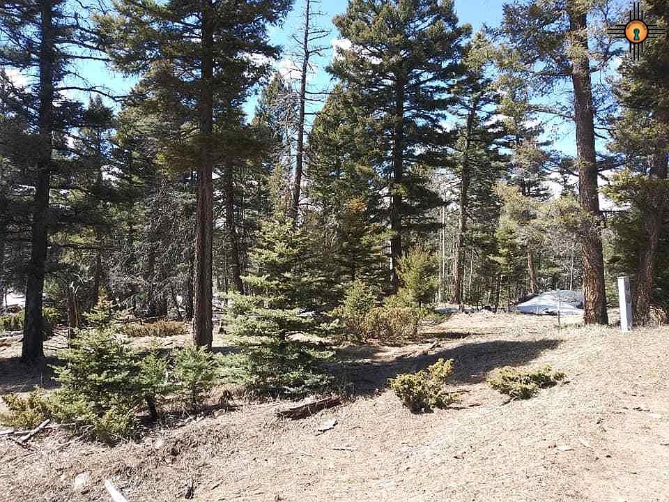 1st image of 1045 Starshine Overlook