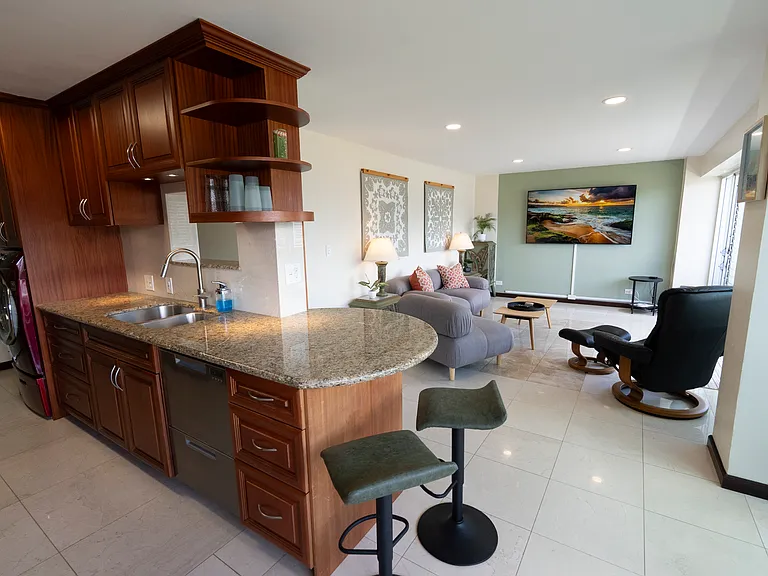 Kitchen Bar and Living Room