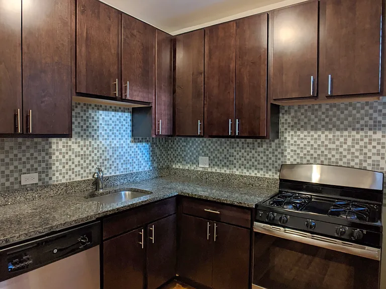 3721 N Pine Grove Ave #3720-E1 — Photo 14