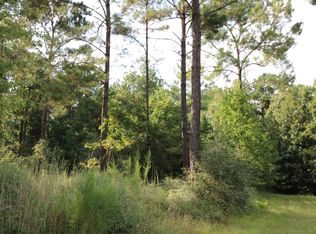 2314 County Road 222, Brookeland, TX 75931