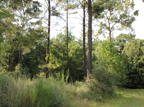 2314 County Road 222, Brookeland, TX 75931