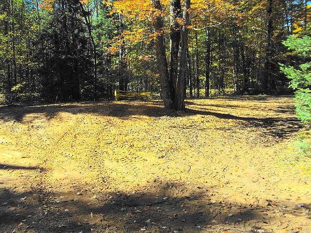 1st image of 12607 Shore Ln W