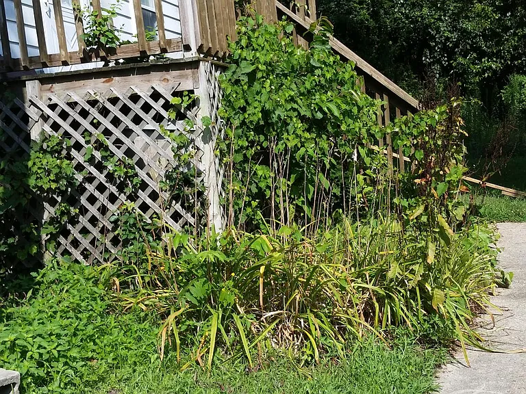 1342 Lake Ave — Photo 1