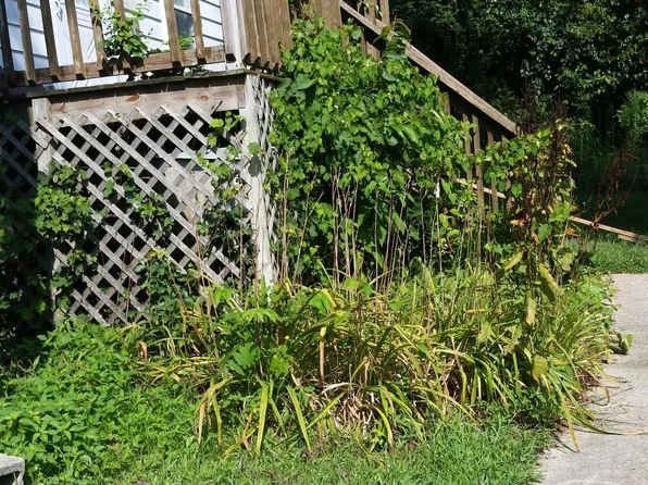 1342 Lake Ave, Pasadena, MD 21122