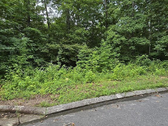 2nd image of LOT 142 Lower Brow Rd
