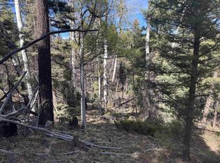 45 Back Basin Rd, Angel Fire, NM 87710