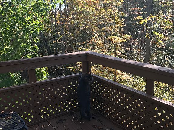 deck off Master BR-Fall