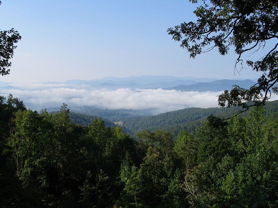 View from rear porch