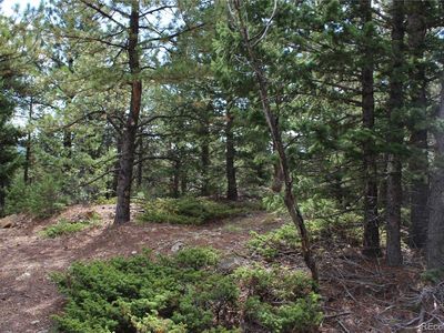 000 Golconda mine Road LOT 1020, Central City, CO, 80427