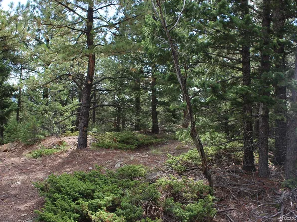 000 Golconda mine Road LOT 1020, Central City, CO 80427