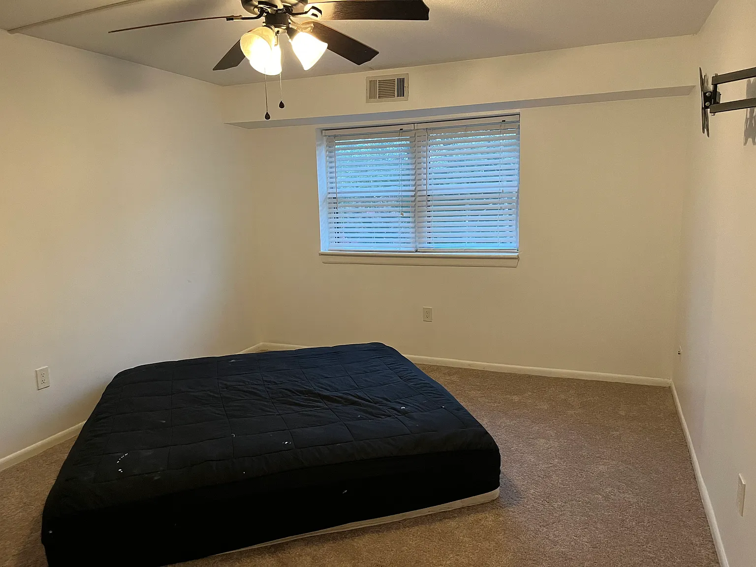 1 bed, 800 sqft, $1,450 — Photo 3