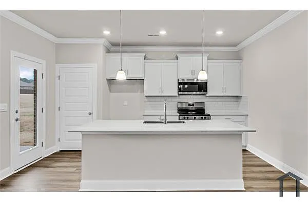 Building Photo - 28140 Saddle Springs Dr