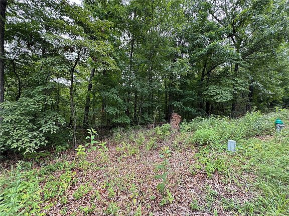 2nd image of Rountree Dr #66