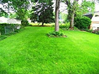Lawn