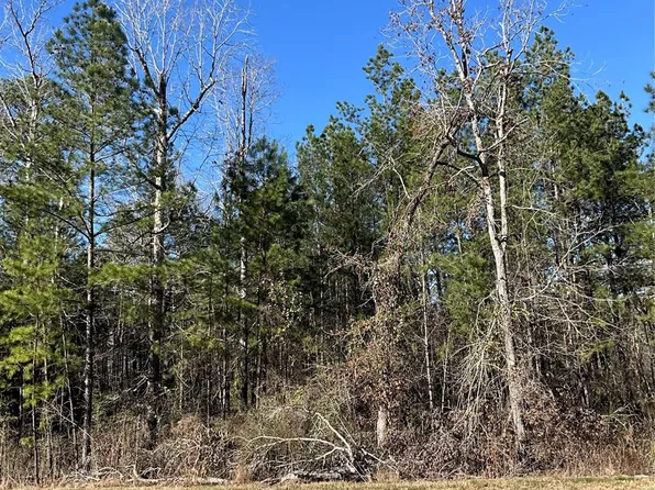 175 Exploration Rd, Willis, TX 77378