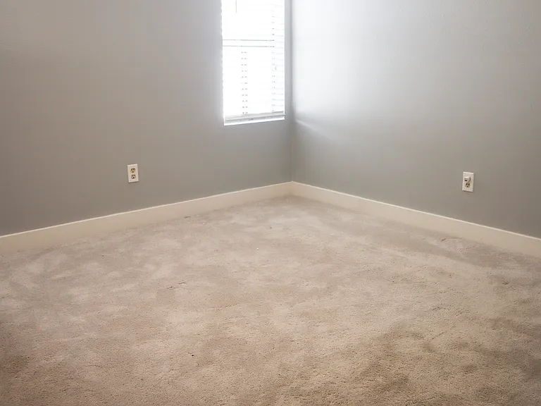 1050 S Monaco Pkwy #78 — Photo 28