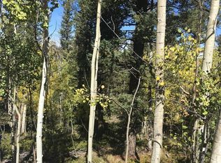 179 Eagle Rock Rd, Florissant, CO 80816