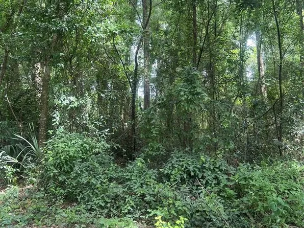 SE 135th Ln #19, Summerfield, FL 34491