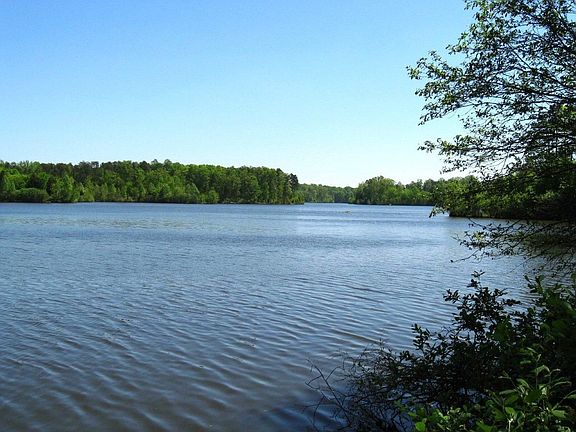 View from lot - Lake Mackintosh