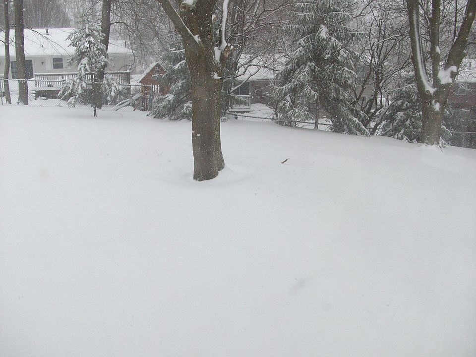 2nd image of 24 Charles St