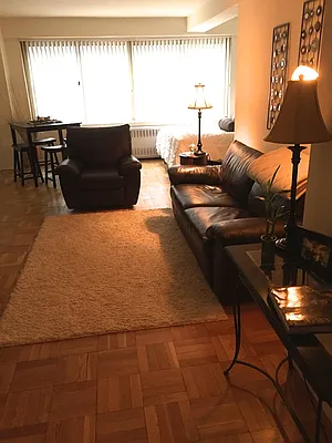 Rented by Luxus Manhattan Realty | media 14