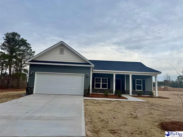 294 Lexyryan Ct, Latta, SC 29565