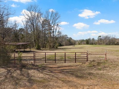 County Road 2737, Naples, TX, 75568