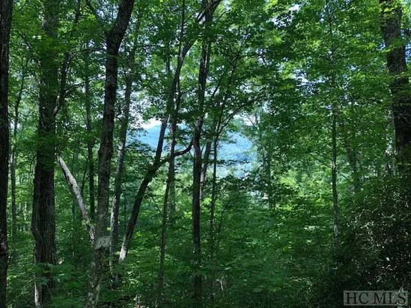 LOT 13 Shepherds Mtn, Cullowhee, NC 28723