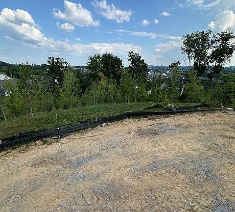5th image of 244 Halswelle Dr Lot 383
