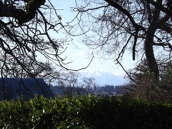 Side yard view of mountains