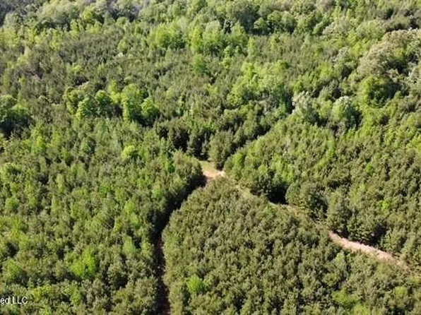 0 Auburn Dr SW, Bogue Chitto, MS 39629