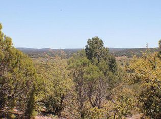 6655 Ryan Ln, Show Low, AZ 85901