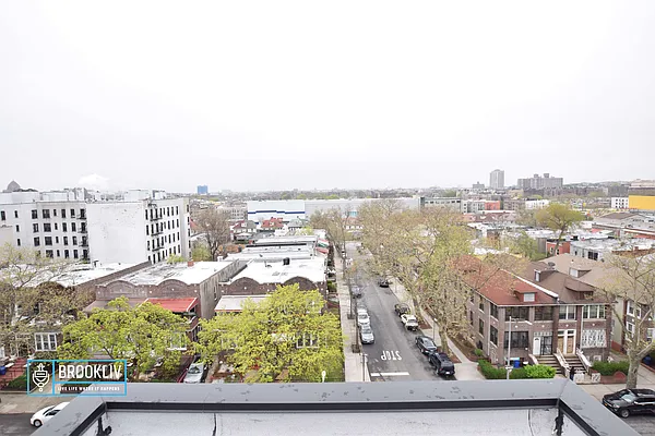 Rented by null | media 59