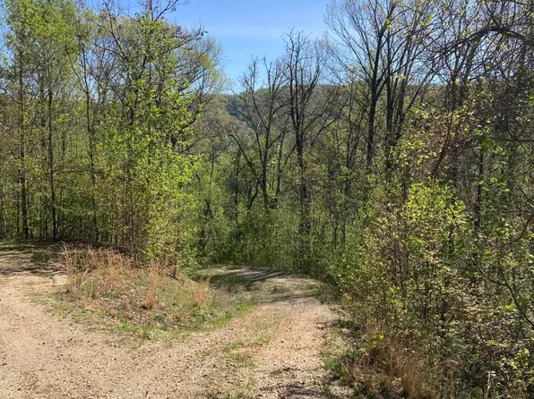 Tulip Poplar Trail Ext, Butler, TN 37640