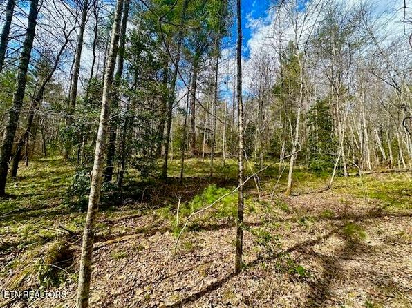 144 Gunter Pl, Sunbright, TN 37872
