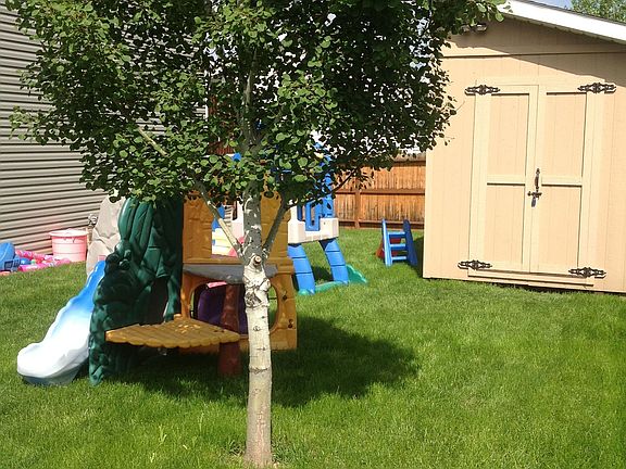 Shed and backyard